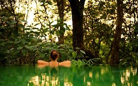 Wayanad Wild - A Cgh Earth Experience