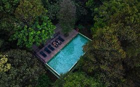 Wayanad Wild - A Cgh Earth Experience